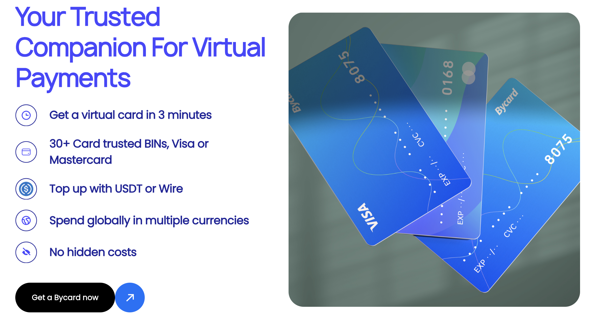 Bycard virtual card for media buying payments