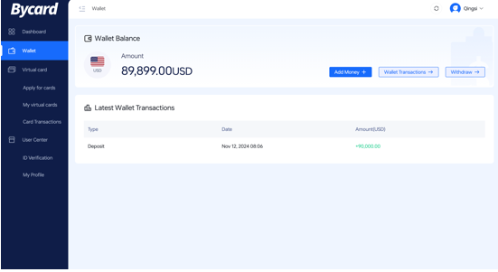 Bycard dashboard showing payouts and wallet balance Bycard dashboard showing payouts and wallet balance