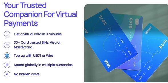 image - Bycard Bycard virtual card used to control ad budgets